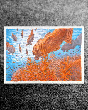 Riso RIFF, Aqua