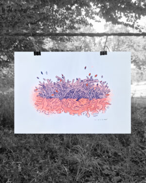 Riso BAU – ZUNDER