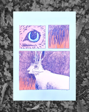 Riso HASE – ZUNDER, Orange